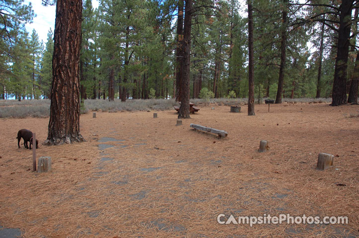 Logger Campground 101