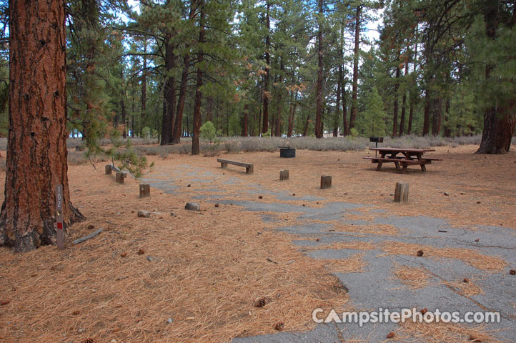 Logger Campground 102