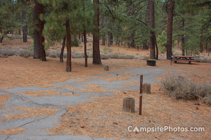 Logger Campground 103
