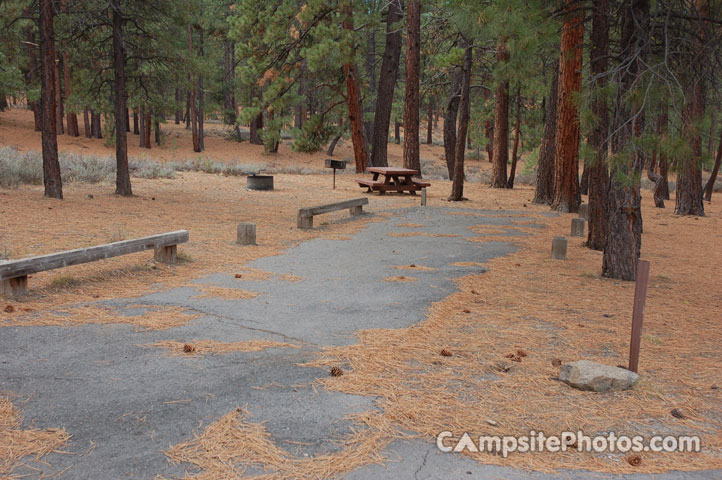 Logger Campground 104