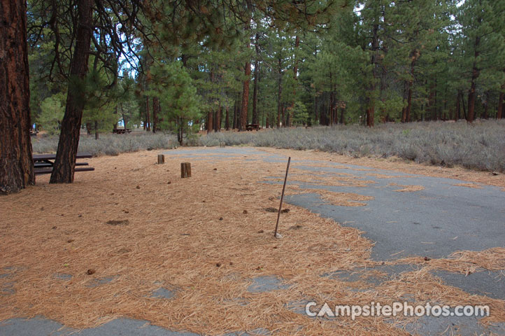 Logger Campground 105