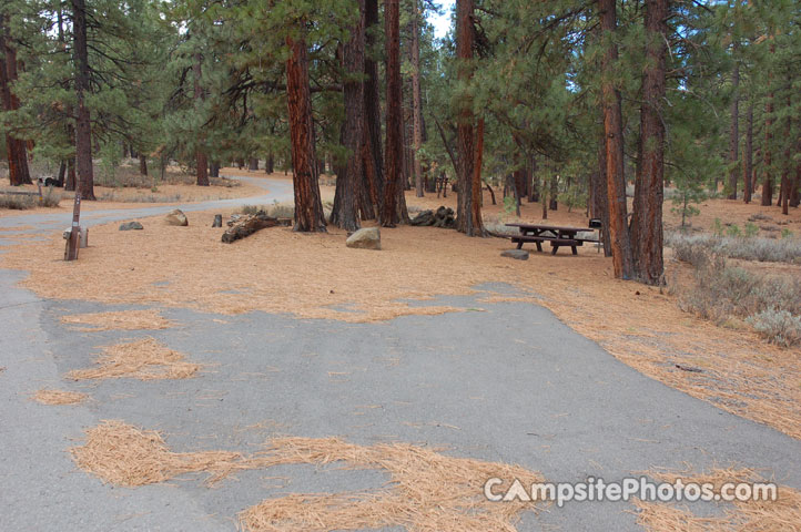 Logger Campground 106