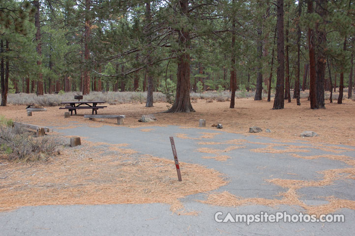 Logger Campground 107