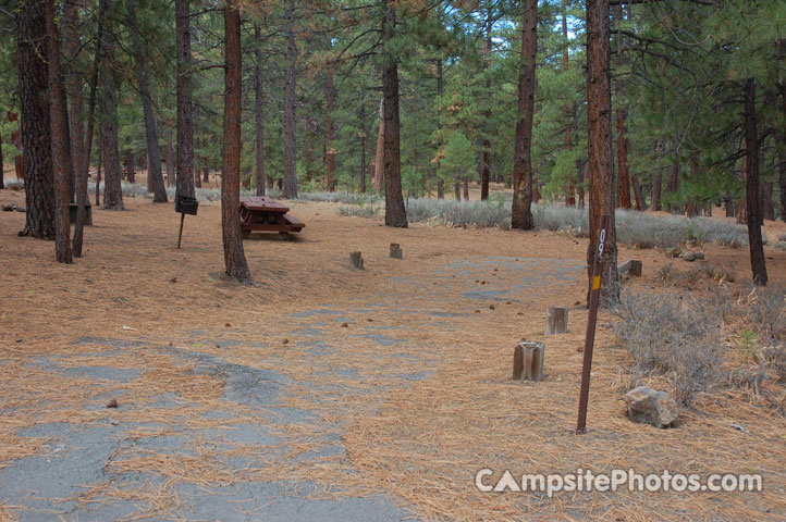 Logger Campground 109