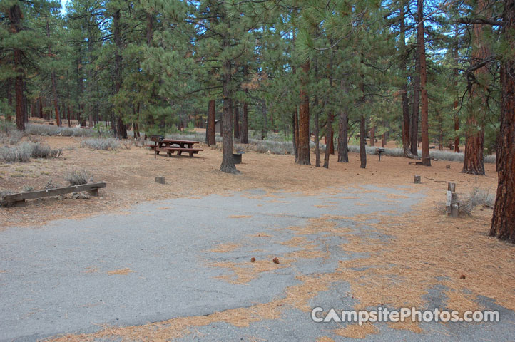 Logger Campground 110 Double