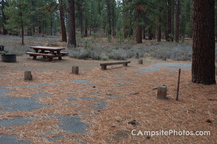Logger Campground 115