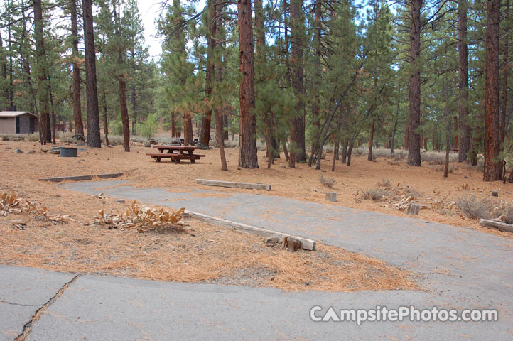 Logger Campground118