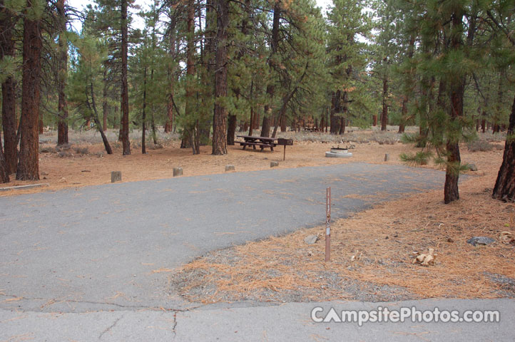 Logger Campground 119