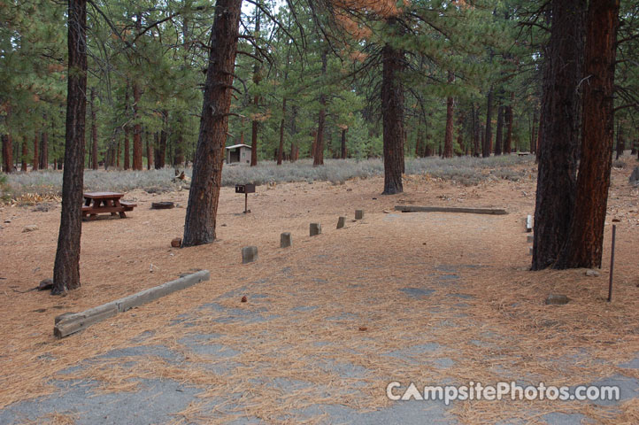 Logger Campground 120