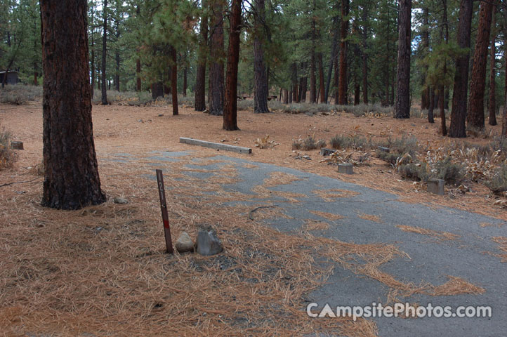 Logger Campground 121