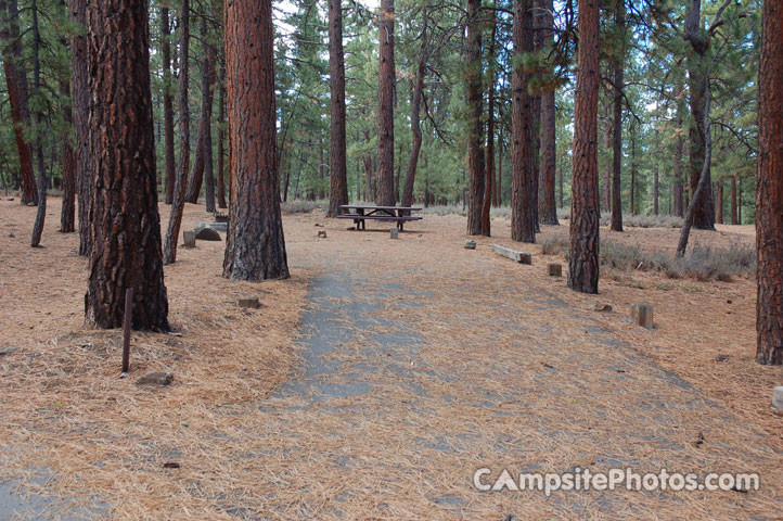 Logger Campground 126
