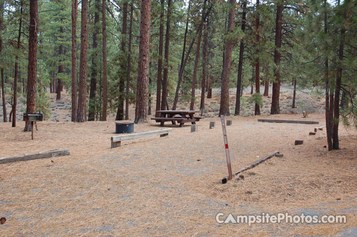 Logger Campground 128