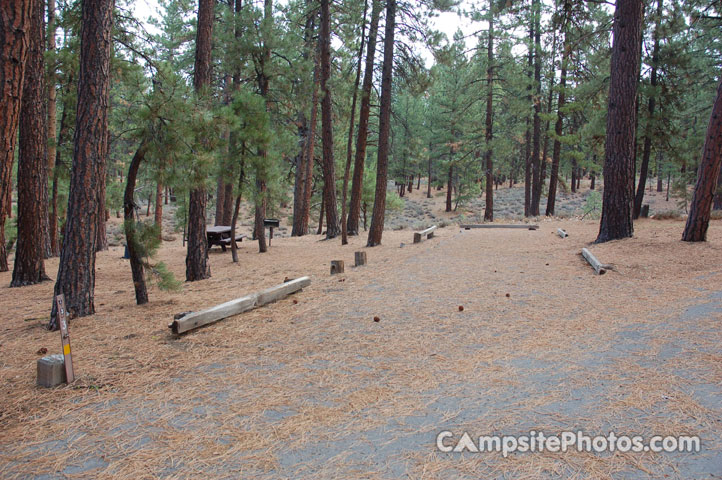 Logger Campground 133