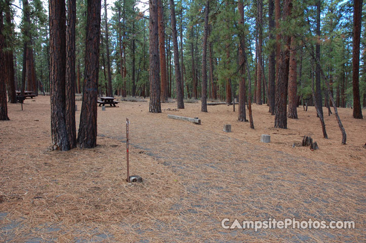 Logger Campground 134