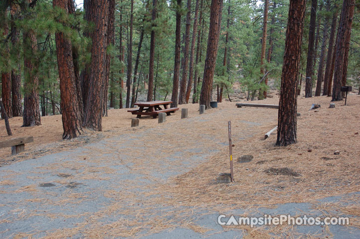 Logger Campground 135