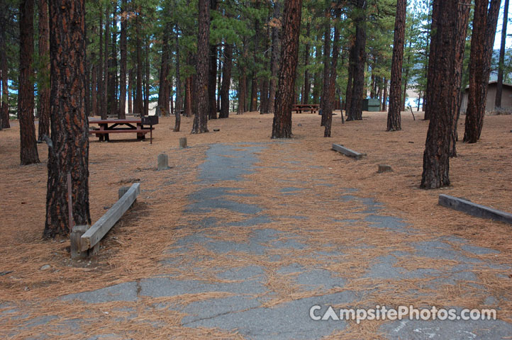 Logger Campground 143