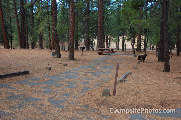 Logger Campground 146