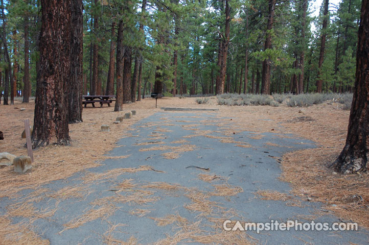 Logger Campground 149
