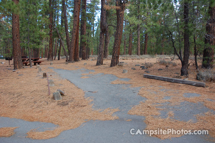 Logger Campground 152