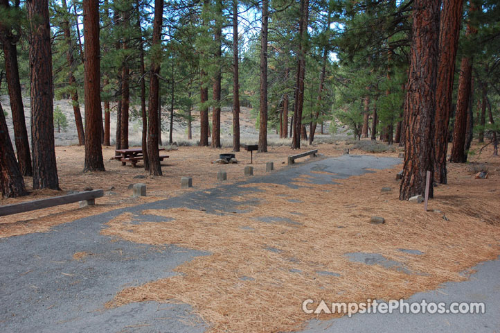 Logger Campground 153