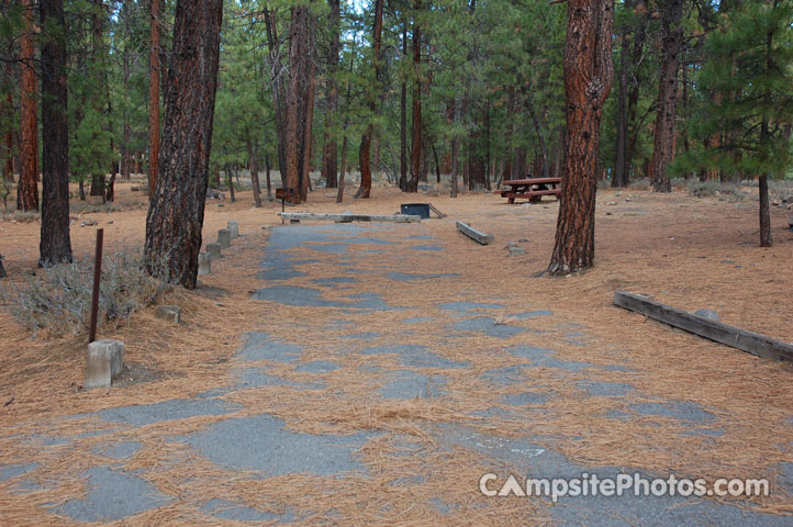 Logger Campground 154