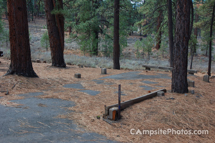 Logger Campground 155
