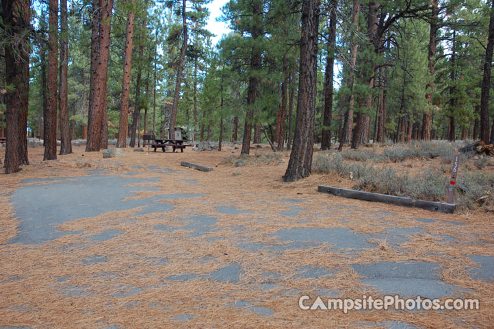 Logger Campground 156