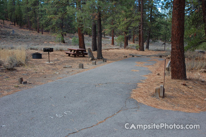 Logger Campground 160