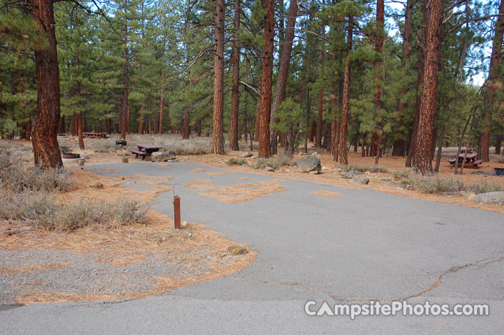 Logger Campground 161