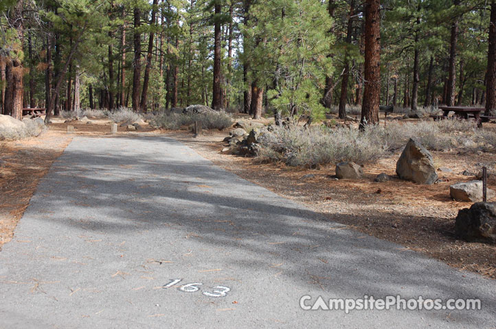 Logger Campground 163