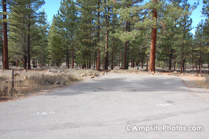 Logger Campground 164
