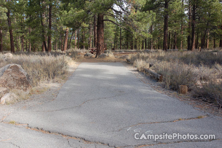 Logger Campground 166