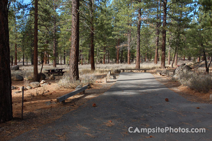 Logger Campground 169