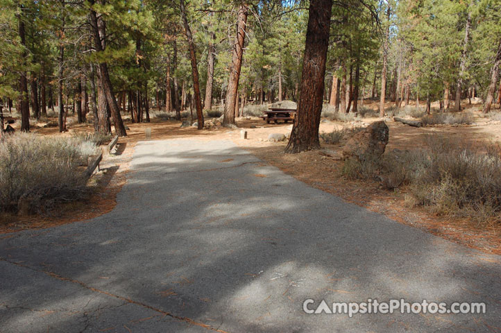 Logger Campground 176