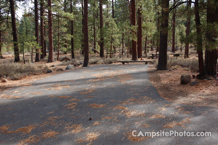 Logger Campground 179