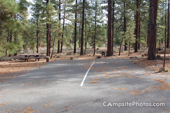 Logger Campground 181 Double