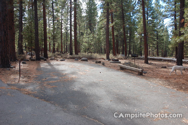 Logger Campground 183