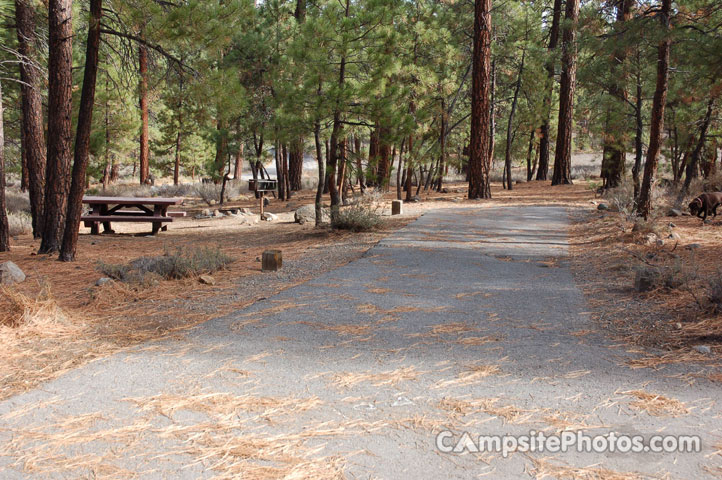 Logger Campground 184