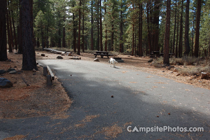 Logger Campground 185