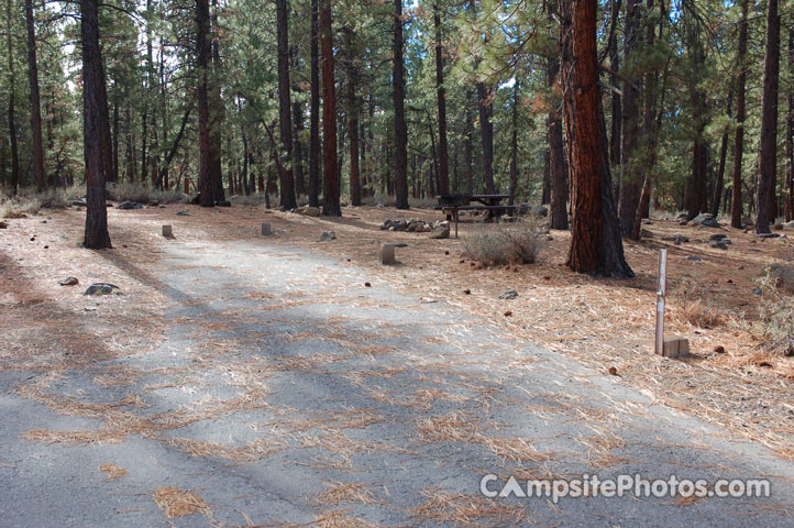 Logger Campground 186