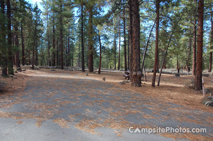 Logger Campground 187