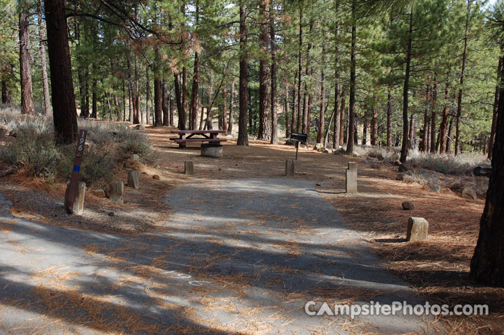 Logger Campground 196