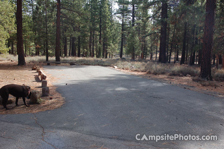Logger Campground 201