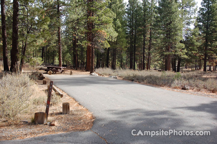 Logger Campground 202