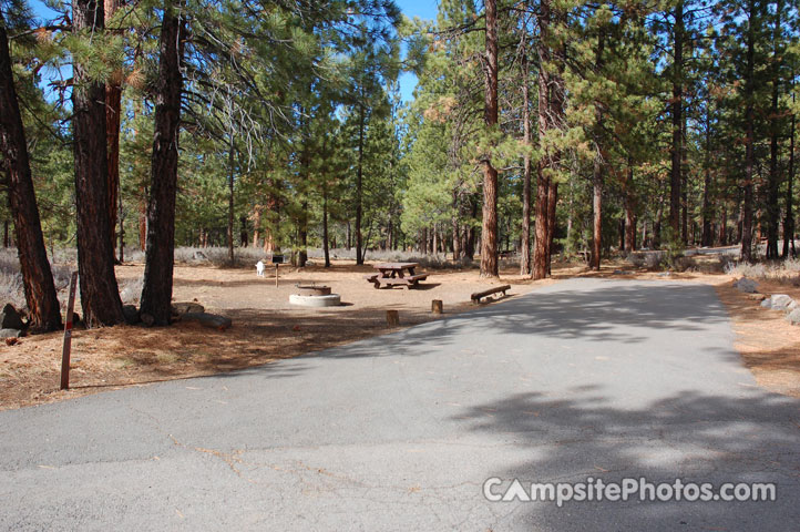 Logger Campground 203