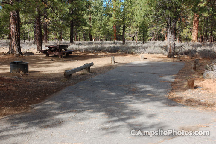 Logger Campground 205