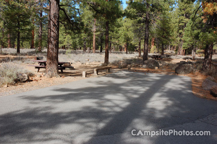 Logger Campground 206