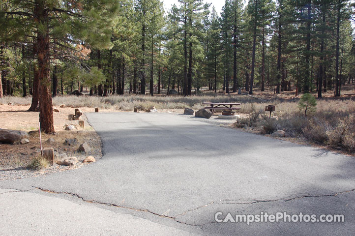 Logge Campground 207