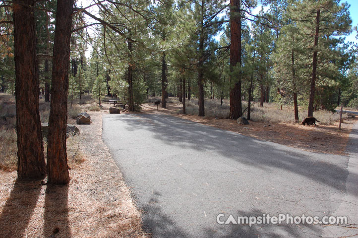 Logger Campground 210