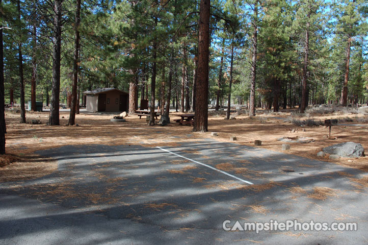 Logger Campground 211 Double